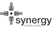 partner_blacktree-17 synergy consulting