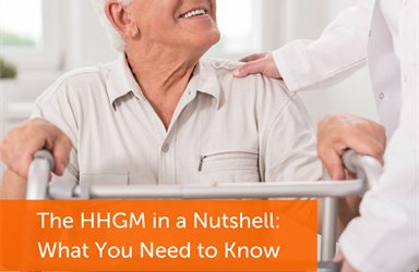 The HHGM in a Nutshell: What You Need to Know
